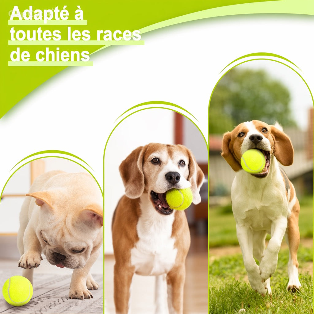 Lanceur Intelligent de Balles pour Chien