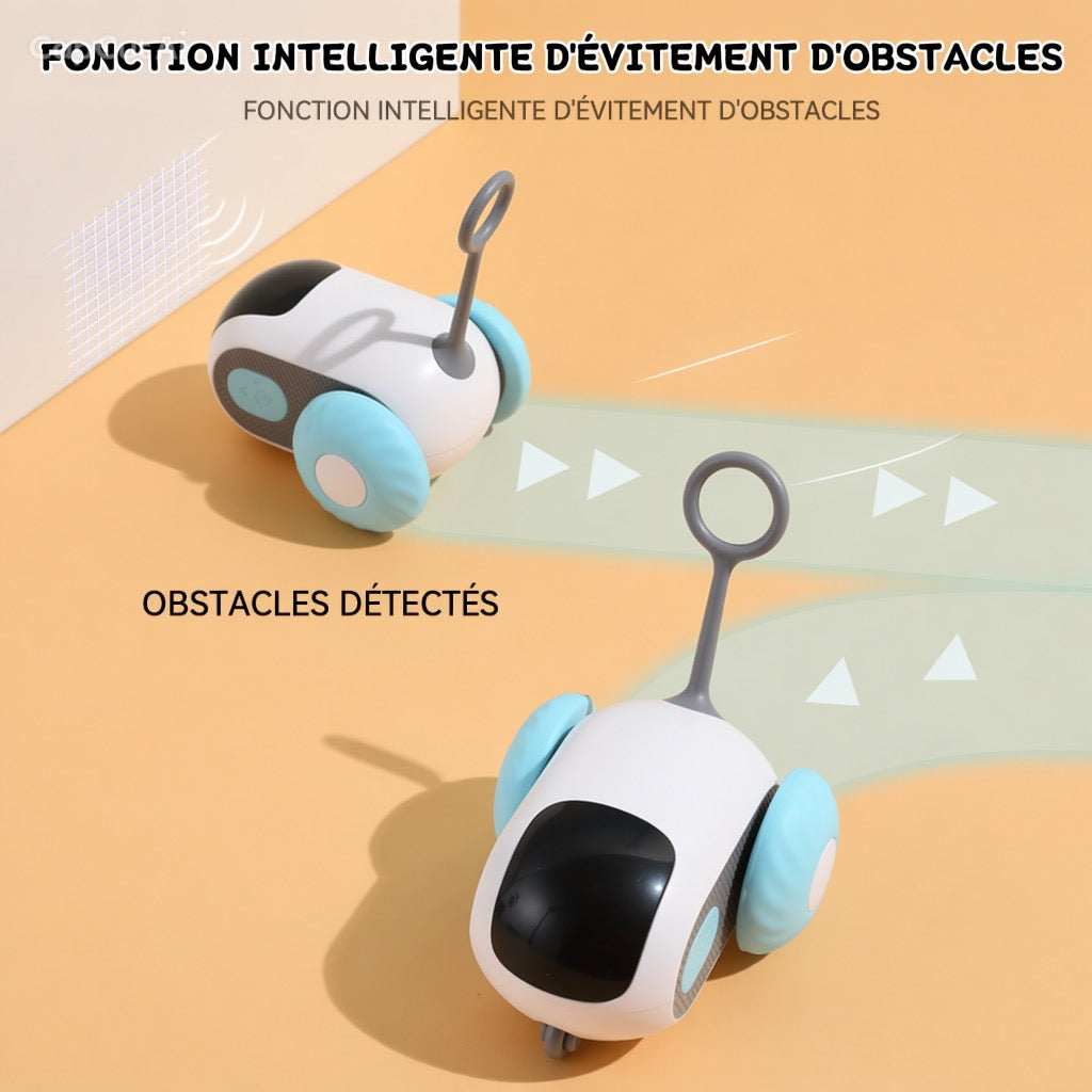 Jouet Intelligent pour Chat