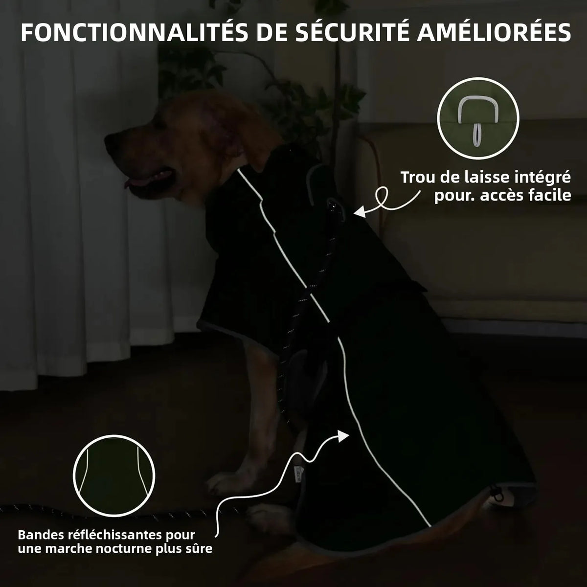 Imperméable Réfléchissant pour Chien