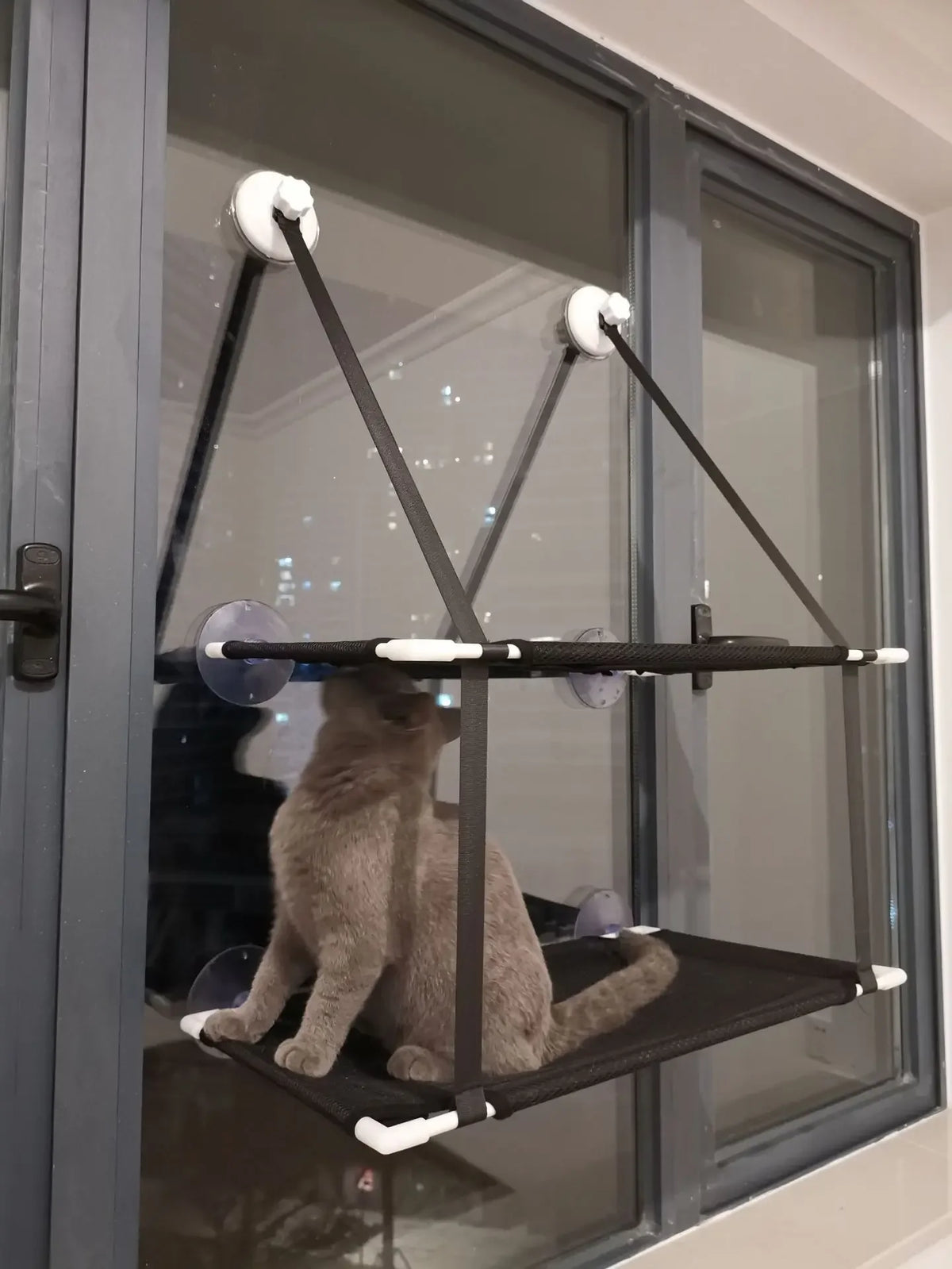 Lit Suspendu Double Niveau pour Chat – Hamac de Fenêtre Ultra Résistant (25 kg)